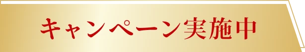 キャンペーン実施中
